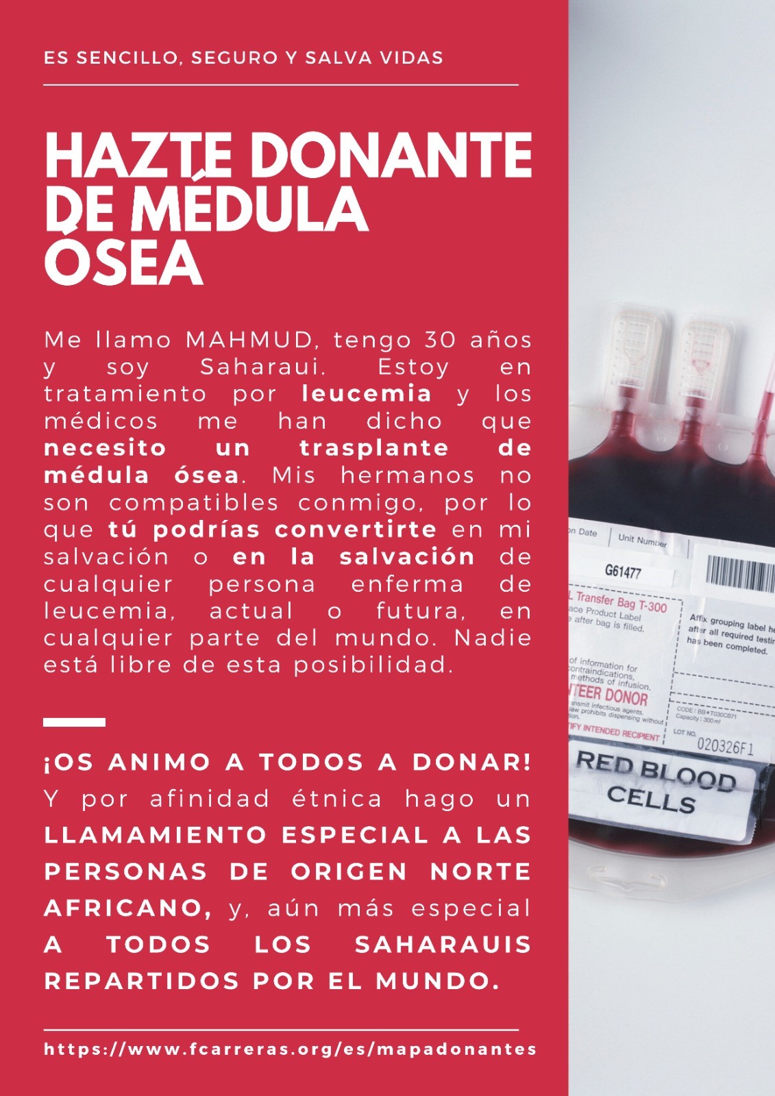 cartel i campa a donacion medula oses